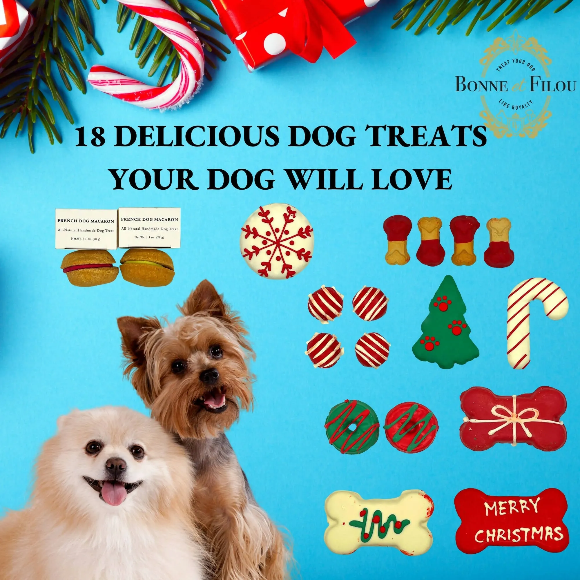 Holiday Dog Treats Box