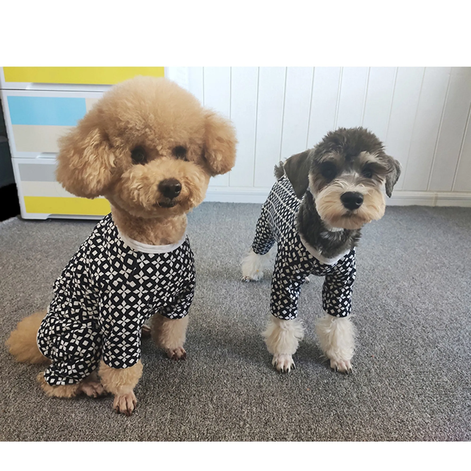 Post-Surgical Spayed Neutered Dog and Cat with Sensitive Skin Jumpsuit